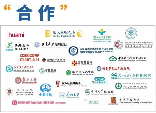 回首2019 承启那些燃爆时光的翻译服务